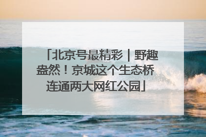 北京号最精彩｜野趣盎然！京城这个生态桥连通两大网红公园