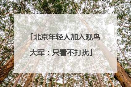 北京年轻人加入观鸟大军：只看不打扰