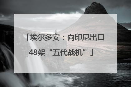埃尔多安：向印尼出口48架“五代战机”
