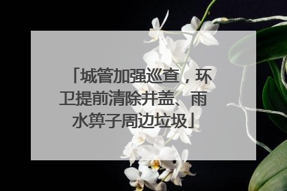 城管加强巡查，环卫提前清除井盖、雨水箅子周边垃圾