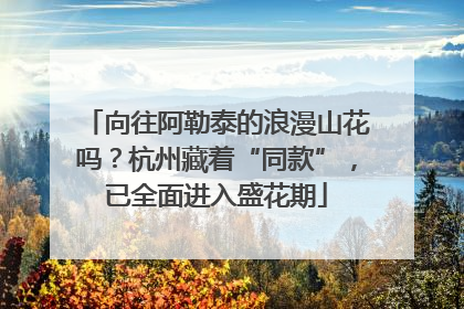向往阿勒泰的浪漫山花吗？杭州藏着“同款”，已全面进入盛花期