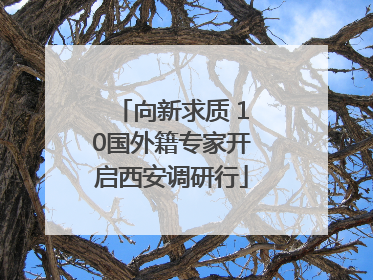 向新求质 10国外籍专家开启西安调研行