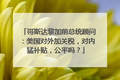 哥斯达黎加前总统顾问：美国对外加关税，对内猛补贴，公平吗？