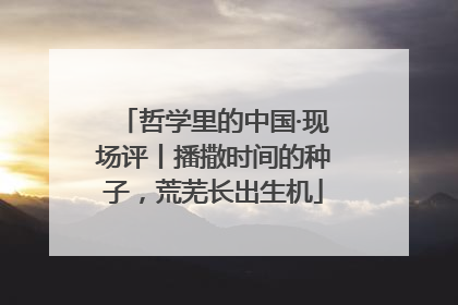 哲学里的中国·现场评丨播撒时间的种子，荒芜长出生机