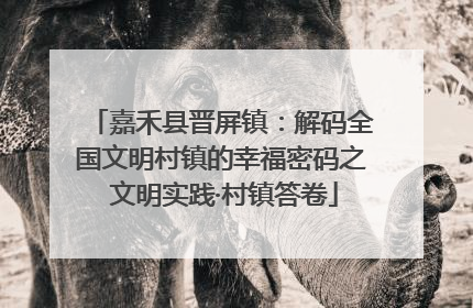 嘉禾县晋屏镇：解码全国文明村镇的幸福密码之 文明实践·村镇答卷