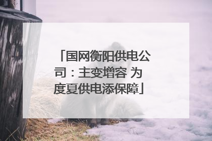 国网衡阳供电公司：主变增容 为度夏供电添保障