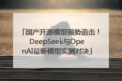 国产开源模型强势追击！DeepSeek与OpenAI最新模型实测对决