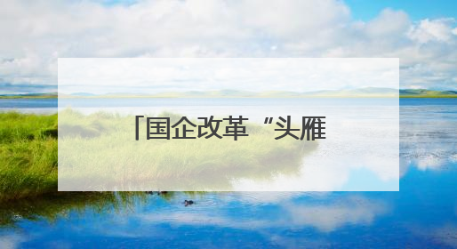 国企改革“头雁领航”③｜从负重前行到轻装上阵 重庆以“瘦身”谋“健体”