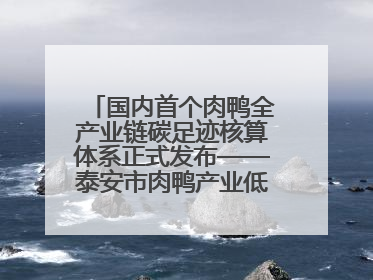 国内首个肉鸭全产业链碳足迹核算体系正式发布——泰安市肉鸭产业低碳发展标准示范项目顺利通过验收