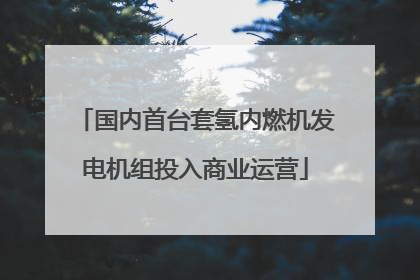 国内首台套氢内燃机发电机组投入商业运营