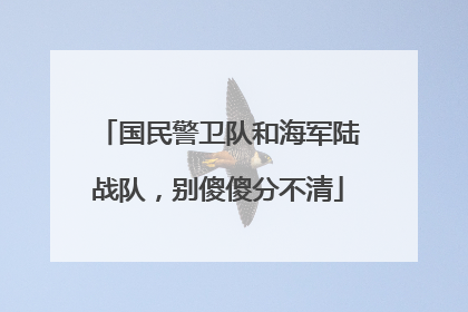 国民警卫队和海军陆战队，别傻傻分不清