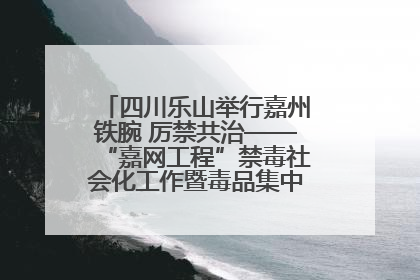 四川乐山举行嘉州铁腕 厉禁共治——“嘉网工程”禁毒社会化工作暨毒品集中销毁启动仪式