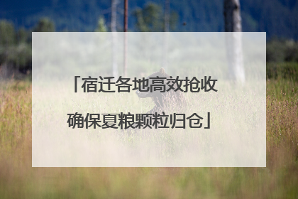 宿迁各地高效抢收 确保夏粮颗粒归仓