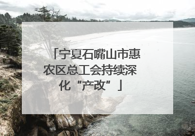 宁夏石嘴山市惠农区总工会持续深化“产改”