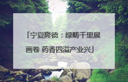 宁夏隆德：绿畴千里展画卷 药香四溢产业兴
