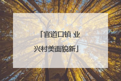 官道口镇 业兴村美面貌新