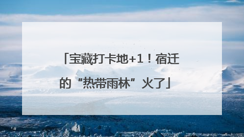 宝藏打卡地+1！宿迁的“热带雨林”火了