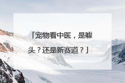 宠物看中医，是噱头？还是新赛道？