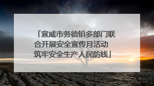 宣威市务德镇多部门联合开展安全宣传月活动 筑牢安全生产人民防线