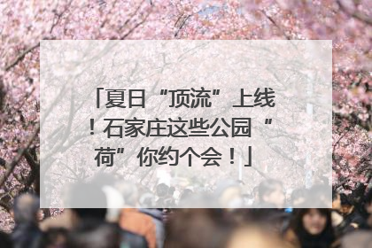 夏日“顶流”上线！石家庄这些公园“荷”你约个会！