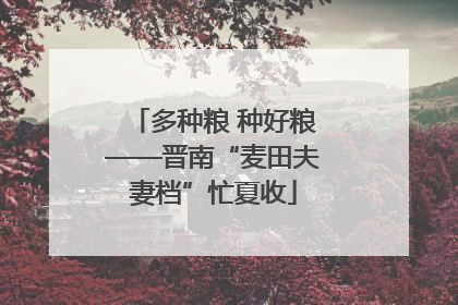 多种粮 种好粮——晋南“麦田夫妻档”忙夏收