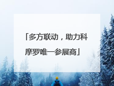 多方联动，助力科摩罗唯一参展商