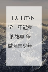 大王庄小学：牢记党的教导 争做强国少年