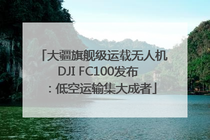 大疆旗舰级运载无人机DJI FC100发布：低空运输集大成者