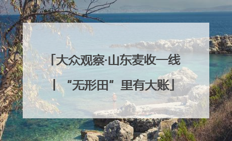大众观察·山东麦收一线丨“无形田”里有大账