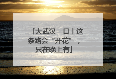 大武汉一日丨这条路会“开花”，只在晚上有