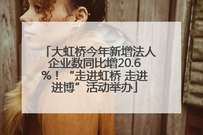大虹桥今年新增法人企业数同比增20.6%！“走进虹桥 走进进博”活动举办