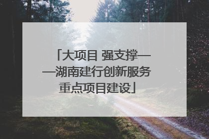 大项目 强支撑——湖南建行创新服务重点项目建设