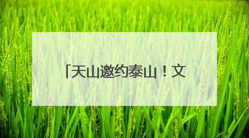 天山邀约泰山！文旅“西引力”催生文旅合作签约，鲁新共绘丝路诗与远方