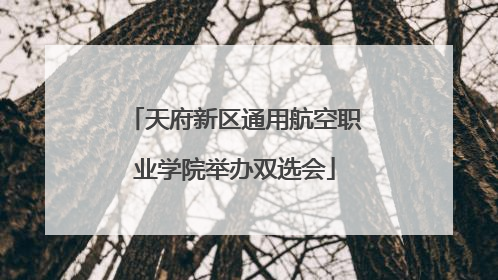 天府新区通用航空职业学院举办双选会