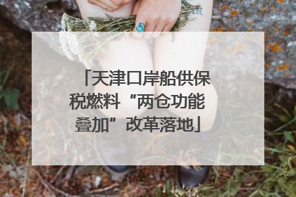 天津口岸船供保税燃料“两仓功能叠加”改革落地