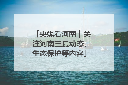 央媒看河南｜关注河南三夏动态、生态保护等内容