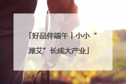 好品伴端午丨小小“潍艾”长成大产业