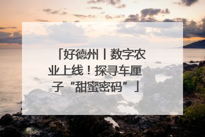 好德州丨数字农业上线！探寻车厘子“甜蜜密码”