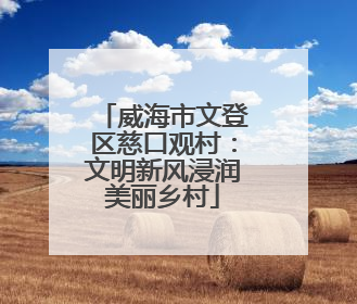威海市文登区慈口观村：文明新风浸润美丽乡村