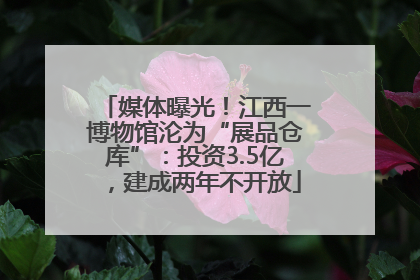 媒体曝光！江西一博物馆沦为“展品仓库”：投资3.5亿，建成两年不开放