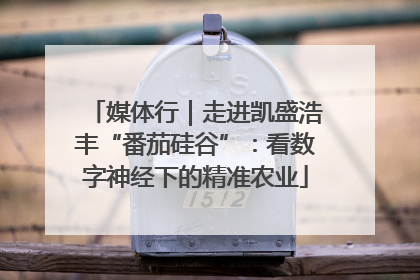 媒体行｜走进凯盛浩丰“番茄硅谷”：看数字神经下的精准农业