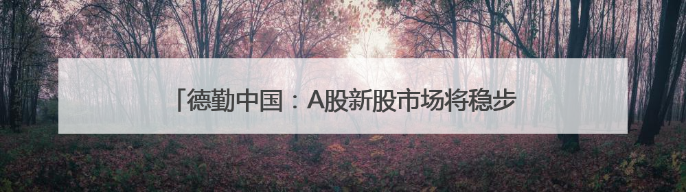 德勤中国：A股新股市场将稳步增长 科技、新能源等将成亮点