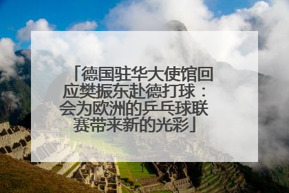 德国驻华大使馆回应樊振东赴德打球：会为欧洲的乒乓球联赛带来新的光彩