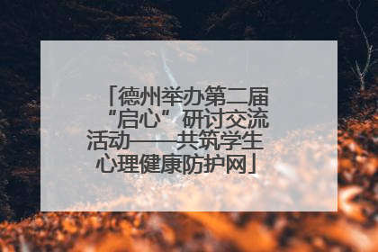 德州举办第二届“启心”研讨交流活动——共筑学生心理健康防护网