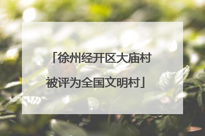 徐州经开区大庙村被评为全国文明村