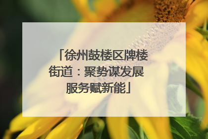 徐州鼓楼区牌楼街道：聚势谋发展 服务赋新能