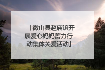 微山县赵庙镇开展爱心妈妈蓄力行动集体关爱活动