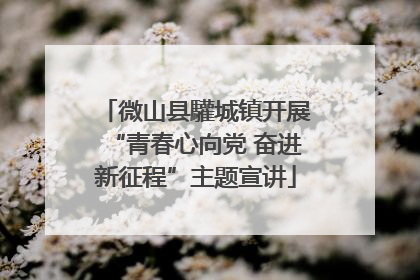 微山县驩城镇开展“青春心向党 奋进新征程”主题宣讲