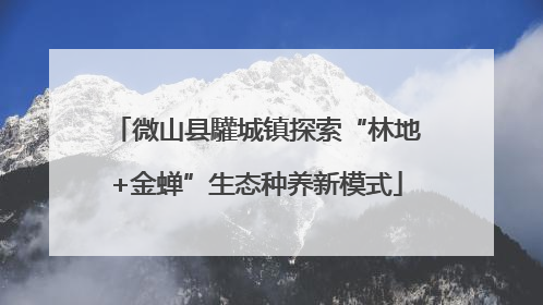 微山县驩城镇探索“林地+金蝉”生态种养新模式