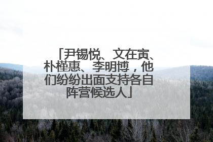 尹锡悦、文在寅、朴槿惠、李明博，他们纷纷出面支持各自阵营候选人